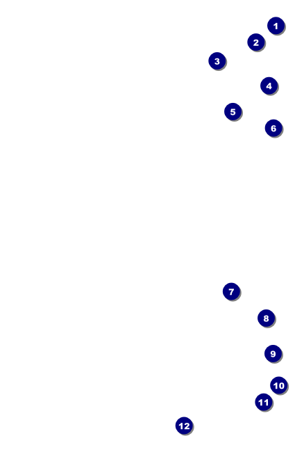 Nutcracker Ballet Drink Ticket Front Field Markers