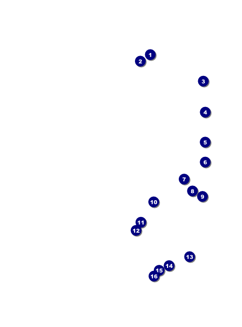 Retro Sunburst Flyer Front Field Markers
