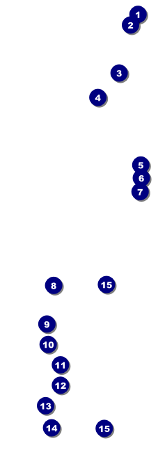 French Raffle Ticket Front Field Markers