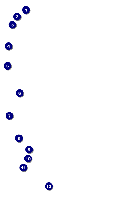 Bucking Bronco Rodeo Drink Ticket Front Field Markers