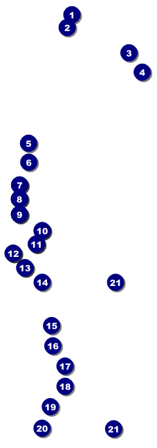 Comic Book Raffle Ticket Front Field Markers