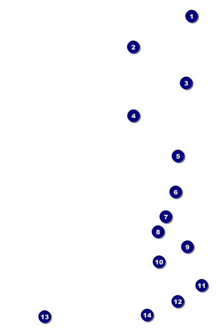 All Purpose Bright Drink Ticket Front Field Markers