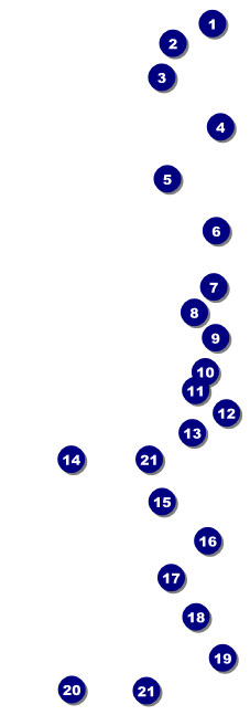 All Purpose Bright Event Ticket Front Field Markers