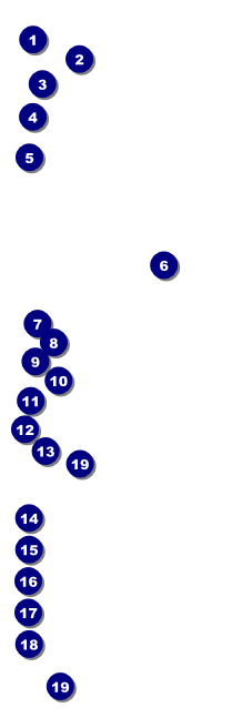 Craft Raffle Ticket Front Field Markers
