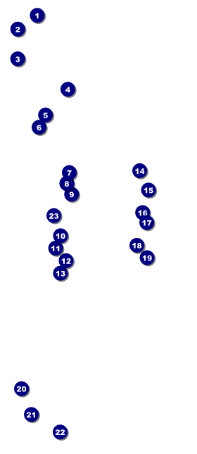 Cupcake VIP Pass Front Field Markers