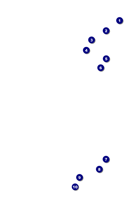 Denver Drink Ticket Front Field Markers