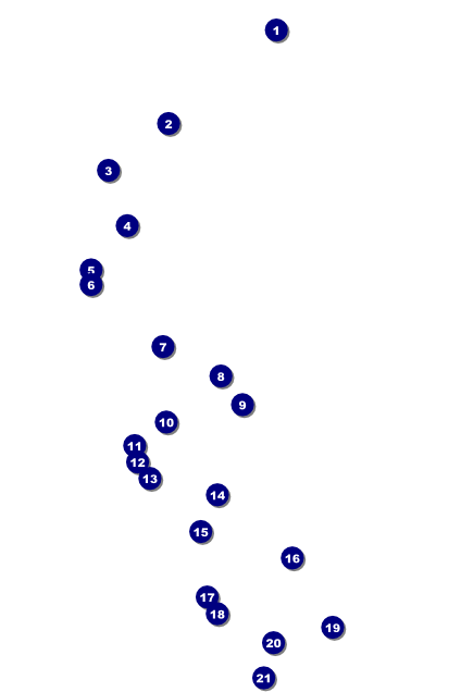 Reunion Poster Front Field Markers