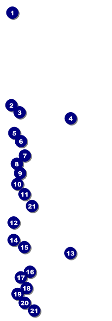 Humane Society Event Ticket Front Field Markers