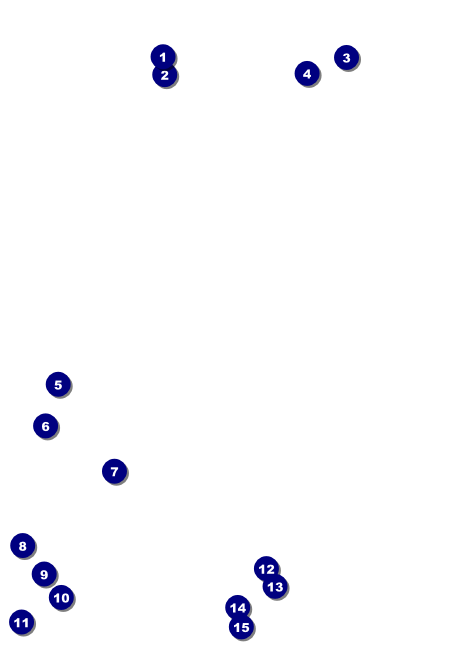 Medieval Banquet Invitation Front Field Markers