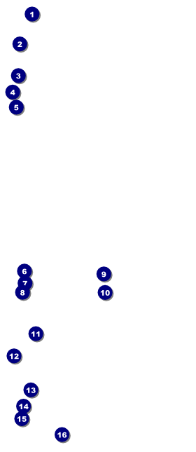 Army VIP Pass Front Field Markers