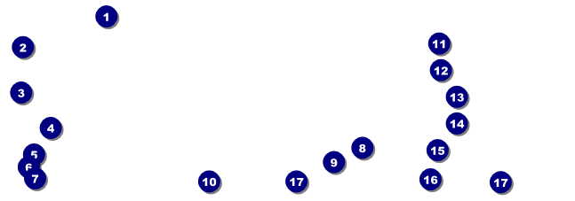 Norwegian Raffle Ticket Front Field Markers