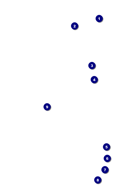 Track and Field VIP Event Badge Medium Front Field Markers