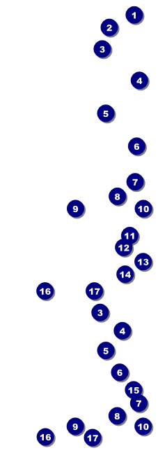 All Purpose Bright Reserved Event Ticket Front Field Markers