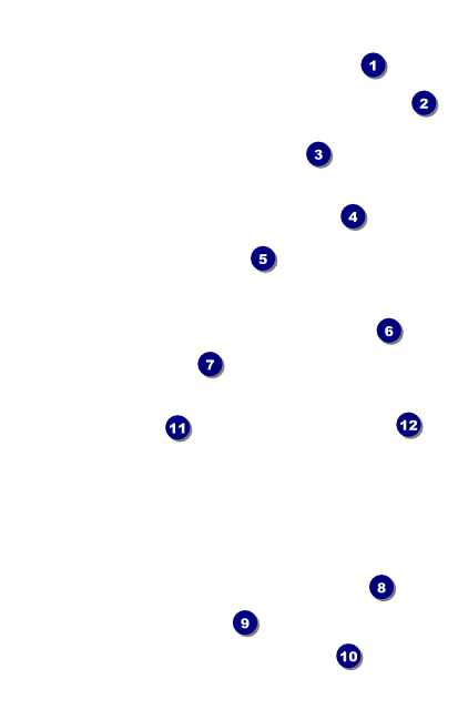 Nightclub Blue VIP Event Badge Medium Front Field Markers