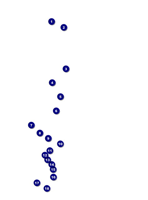 All Purpose Skyline Black and White Flyer Front Field Markers