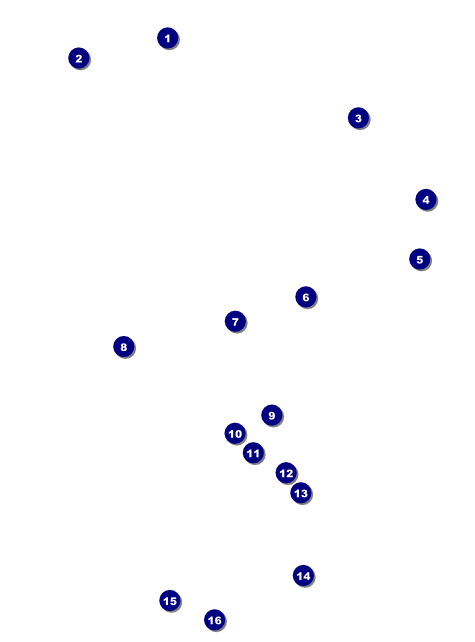 All Purpose Triangles Black and White Flyer Front Field Markers