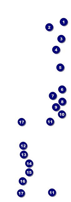All Purpose Triangles 2 Black and White Raffle Ticket Front Field Markers