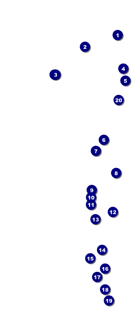 Reunion 2 VIP Pass Front Field Markers