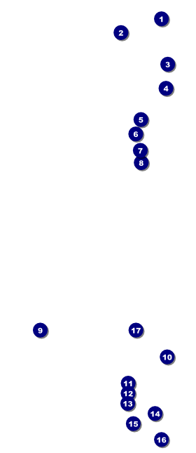 Curling Tournament VIP Pass Front Field Markers