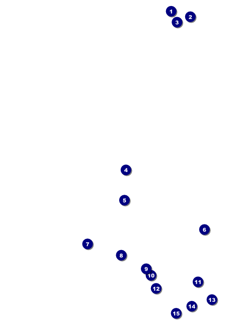 Chinese New Year Pig Flyer Front Field Markers