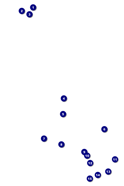 Chinese New Year Pig Poster Front Field Markers