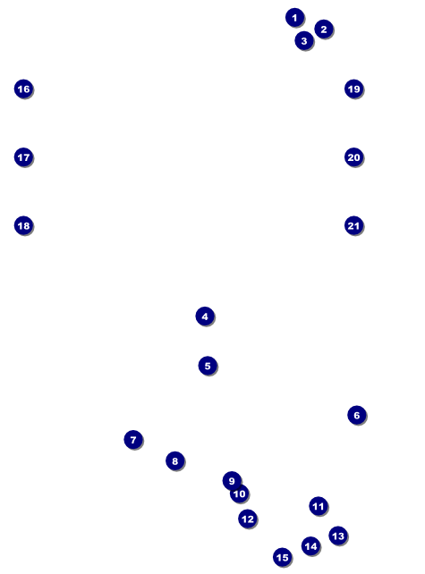 Chinese New Year Dog Image Flyer Front Field Markers