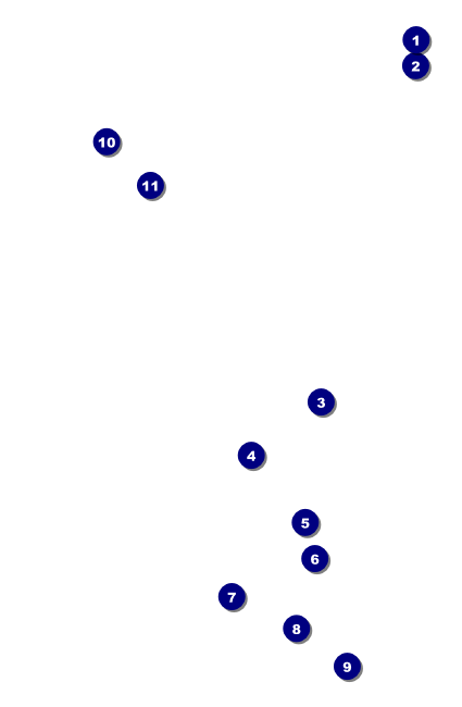 Chinese New Year Tiger Drink Ticket Front Field Markers