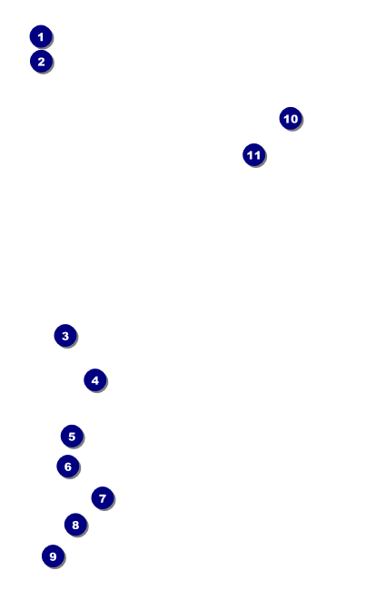 Chinese New Year Rabbit Drink Ticket Front Field Markers