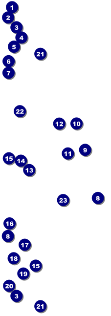 All Purpose Big Logo Brown Event Ticket 0007 Front Field Markers