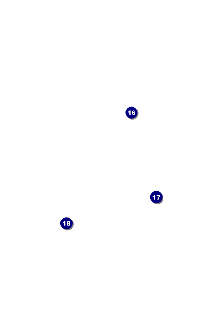 Day of the Dead Postcard Mailer Back Field Markers