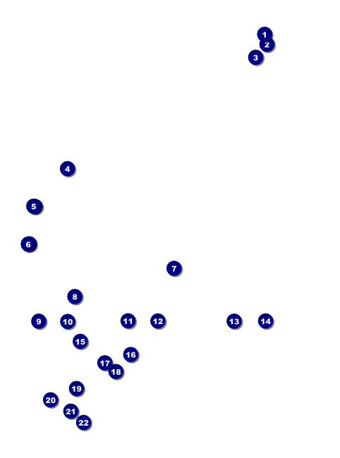 Swimming Flyer Front Field Markers