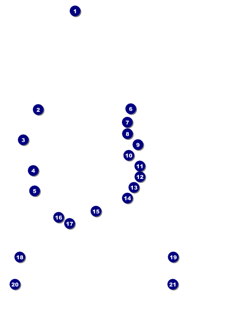 Bowling Classic Flyer Front Field Markers