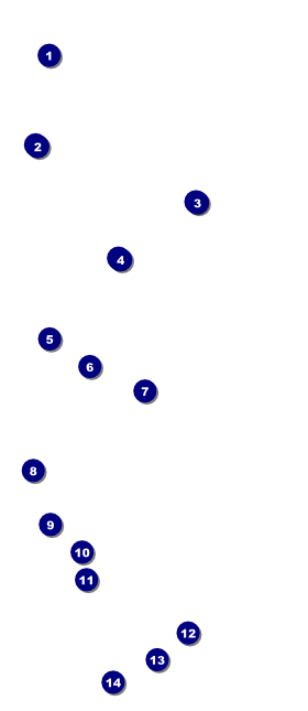 Stag and Doe VIP Pass Front Field Markers
