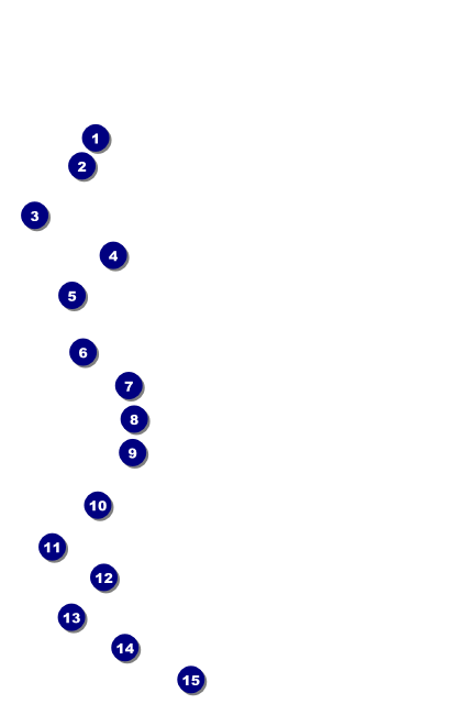 Red, White, and Blue Stars Drink Ticket Front Field Markers