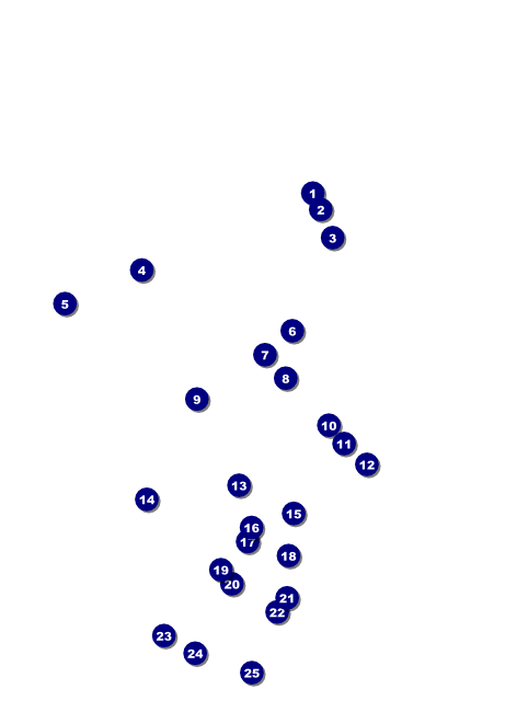 Nature Series - Desert Flyer Front Field Markers