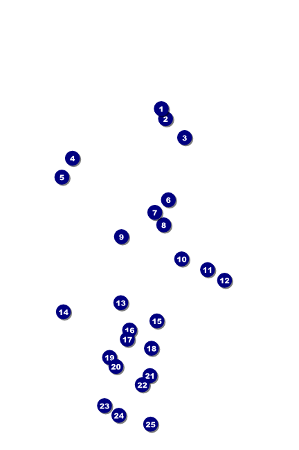 Nature Series - Desert Poster Front Field Markers