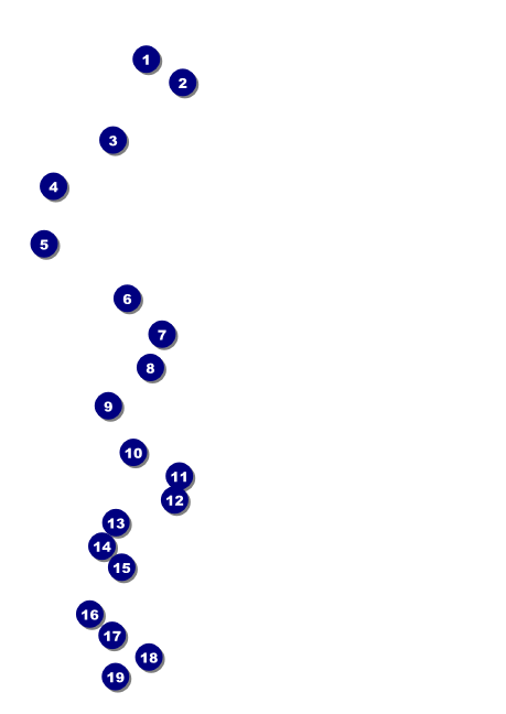 Spider Web Postcard Front Field Markers