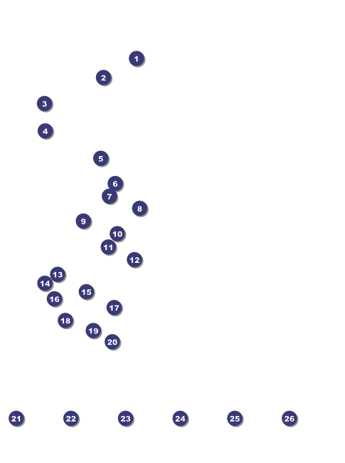 American Flag Flyer 001 Front Field Markers