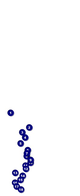 Spaghetti Table Tent Front Field Markers