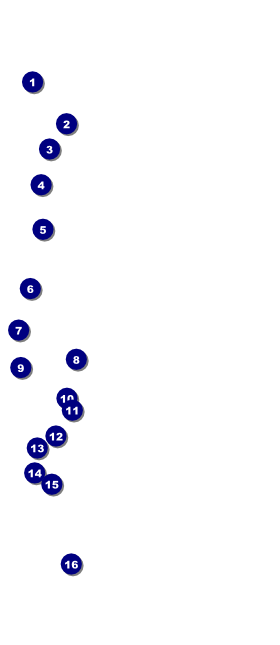 Softball Brown VIP Event Badge Large Front Field Markers