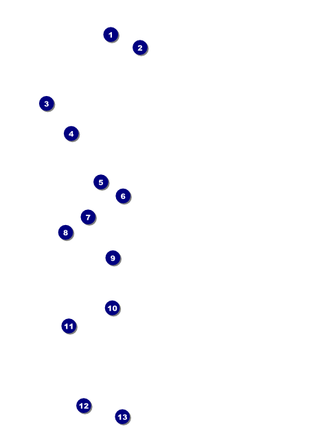 Military Ball - US Flags Flyer Front Field Markers