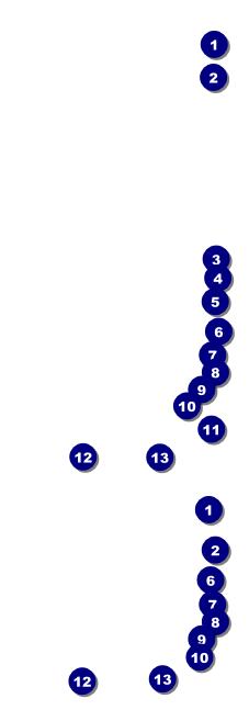 High Holidays Event Ticket Front Field Markers