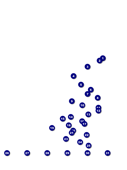 Detroit BW Flyer with Image Upload Front Field Markers
