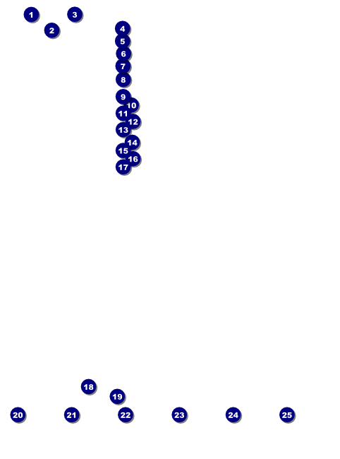 Toronto Flyer (Black & white) Front Field Markers