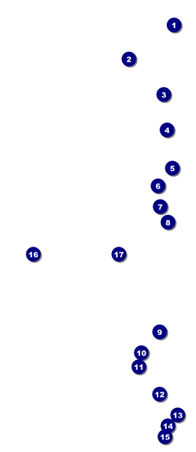 All Purpose Blue VIP Event Badge Large Front Field Markers