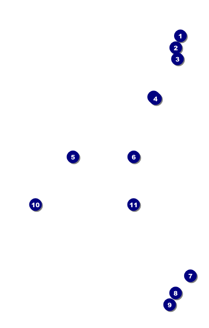 Breast Cancer Pink Ribbon VIP Event Badge Medium Front Field Markers