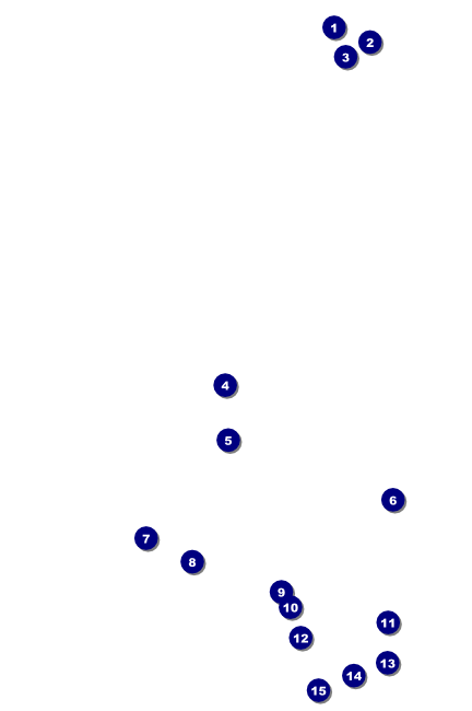 Chinese New Year Rat Poster Front Field Markers