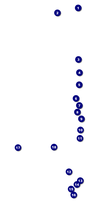 Heart Health VIP Event Badge Large Front Field Markers