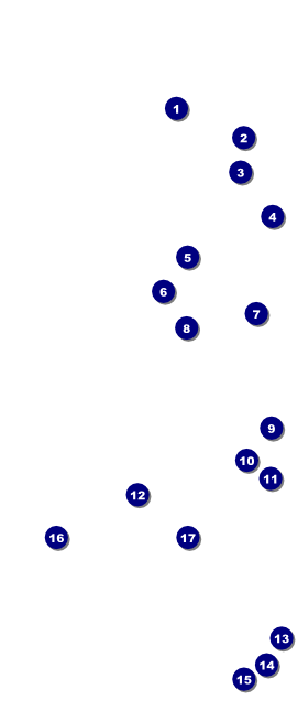 Fourth of July VIP Event Badge Large Front Field Markers