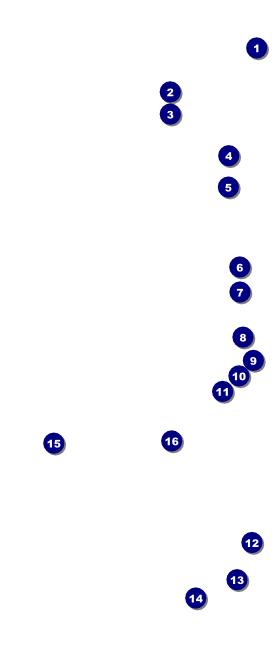 Fourth of July Hometown VIP Event Badge Large Front Field Markers